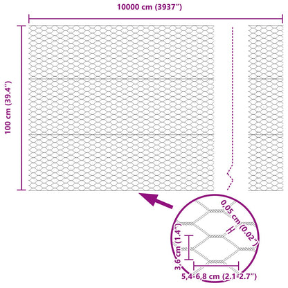 Hexagon Hek 1X100 M Verzinkt Staal 100 x 1 m 36 mm