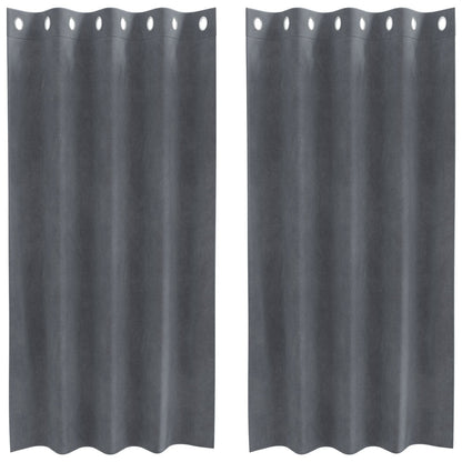 Blackout Gordijnen 2 Stuks Fluweel Super Lichtgrijs 140 x 175 cm met oogjes