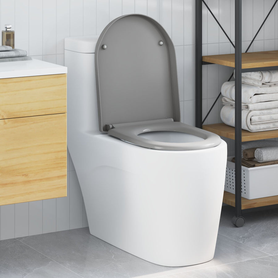 Snelle Verwijderings Toiletzitting Met Zachte Sluiting Duroplast Grijs