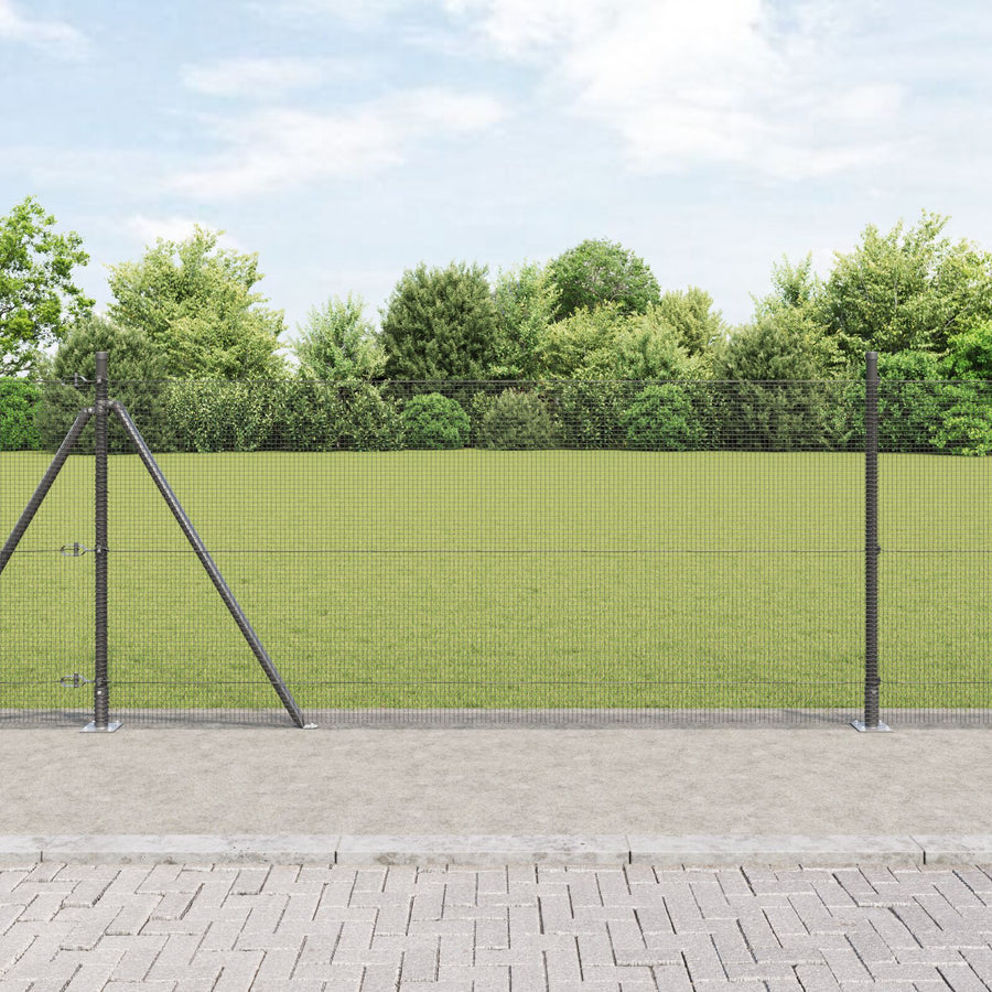 Gelaste Draadhek Met 13 Flenspalen Grijs 1.5X25 M Staal Gegalvaniseerd Staal