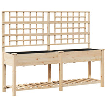 Tuinplantbak Met Trellis & Plank 203X53X152 Cm Massief Vurenhout 203.5 x 54 x 152.5 cm