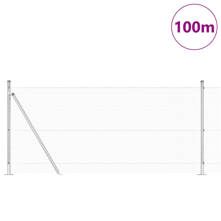 Gelaste Draadhek Met 13 Flenshekbalken 1X100 M Gegalvaniseerd Staal Gegalvaniseerd Staal