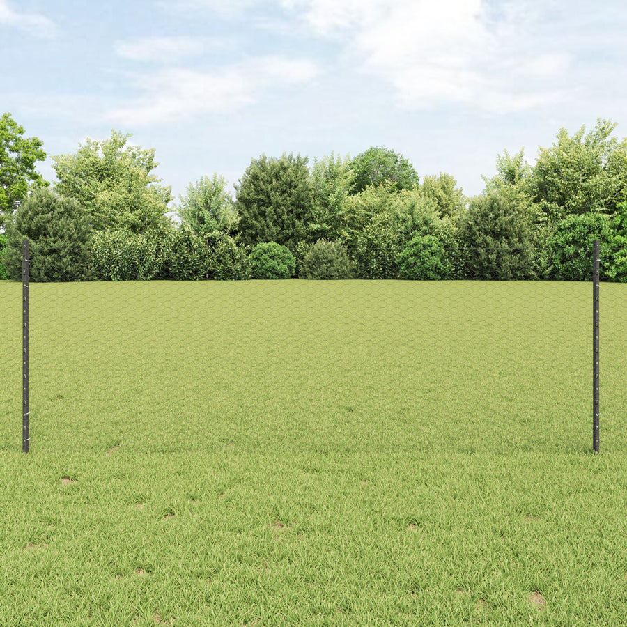Hekpalen 11 Stuks U-Channel Grijs 80 Cm Staal,  Hexagoon Hek Grijs 0.8X25 M Staal