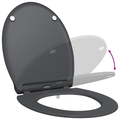 Quick Release Toiletbril Met Soft Close Duroplast Anthraciet