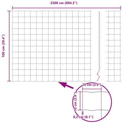 Tuinhekset Set Van 2 Groen Staal 25 X 1 M Duurzaam Tuinhek