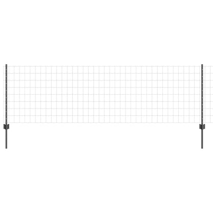 Tuinhek Set Set Van 2 Grijs Metaal 25 X 0.8 M Duurzaam