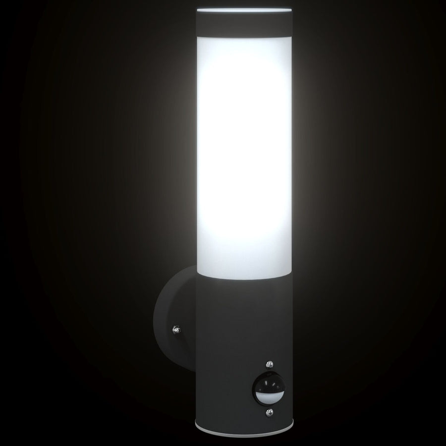 Buitengevelverlichting Rvs Ip44 1 Zwart met sensor