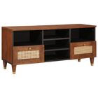 Cd-kast massief mango hout 100x33,5x46 cm bruin