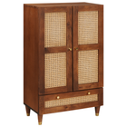 Cd- & dvd-kast massief mangohout bruin 60x33,5x100 cm