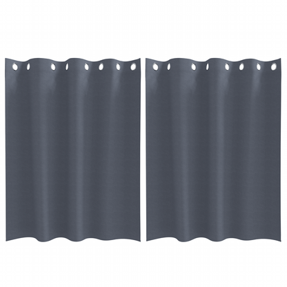 Gordijnen met gordijnen 2 pcs Antraciet 140 x 140 cm Polyester