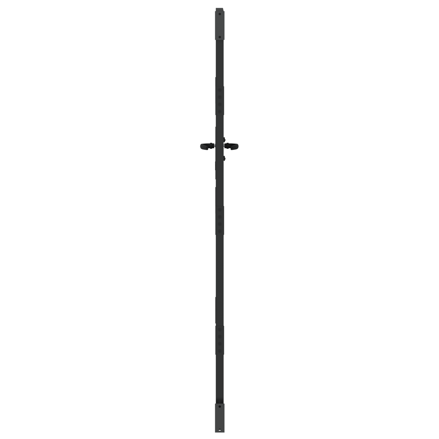 Tuinpoort Zwart 105 x 175 cm Poedergecoat staal