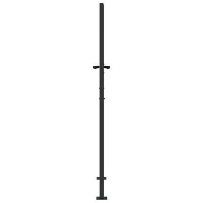 Tuinpoort met slot Zwart 105 x 200 cm Poedergecoat staal