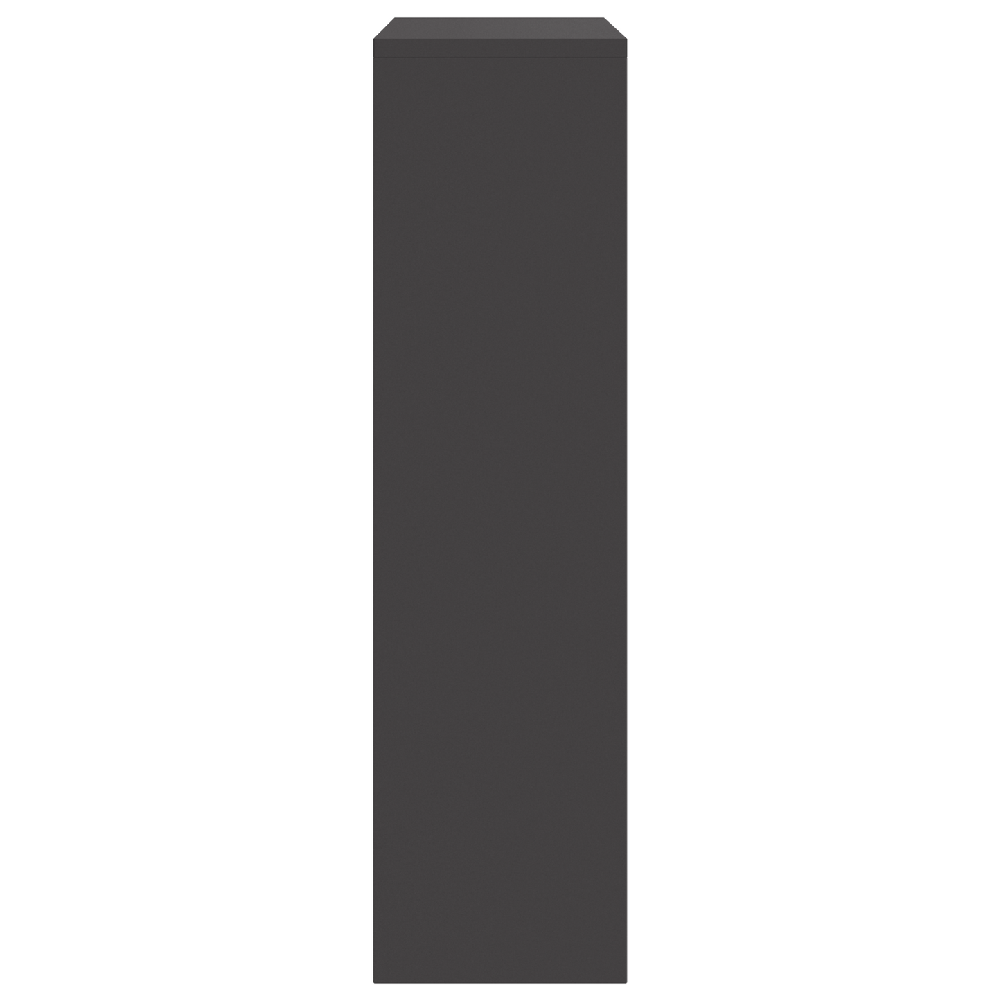 Pakketafgiftebox Zwart 44x22x82 cm Staal