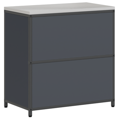 Keukenopslag Kast met plank met opslag met de deur Antraciet 60 x 50 x 92 cm Staal