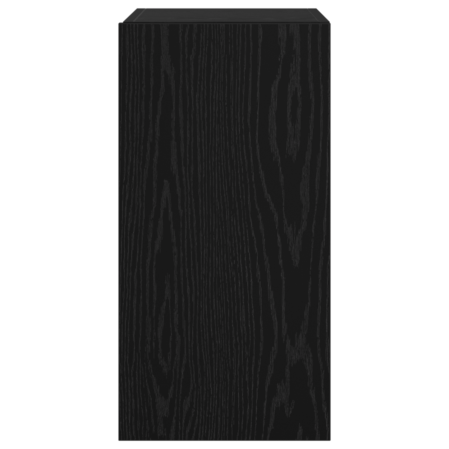 TV Meubel met plank Anders met opslag met de deur Zwart eiken Bewerkt hout