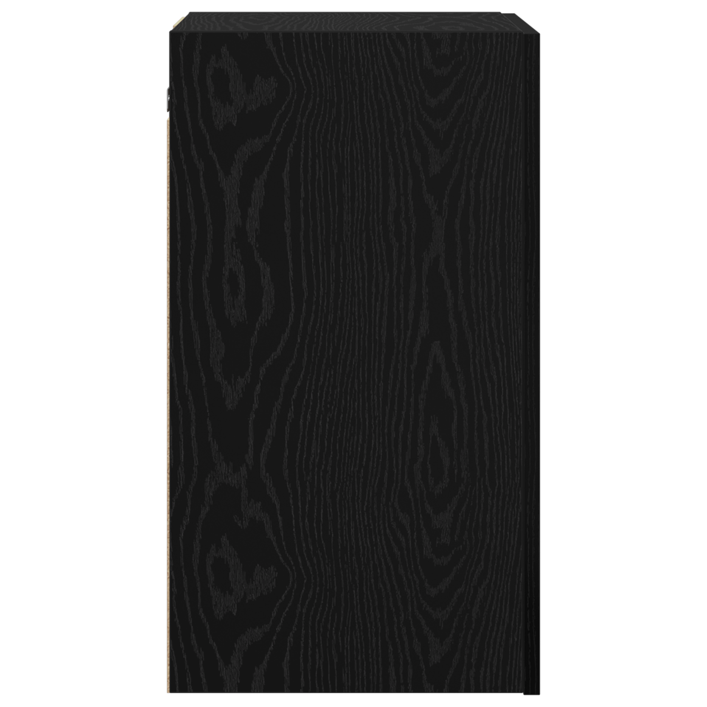 TV Meubel met plank Anders met opslag met de deur Zwart eiken Bewerkt hout