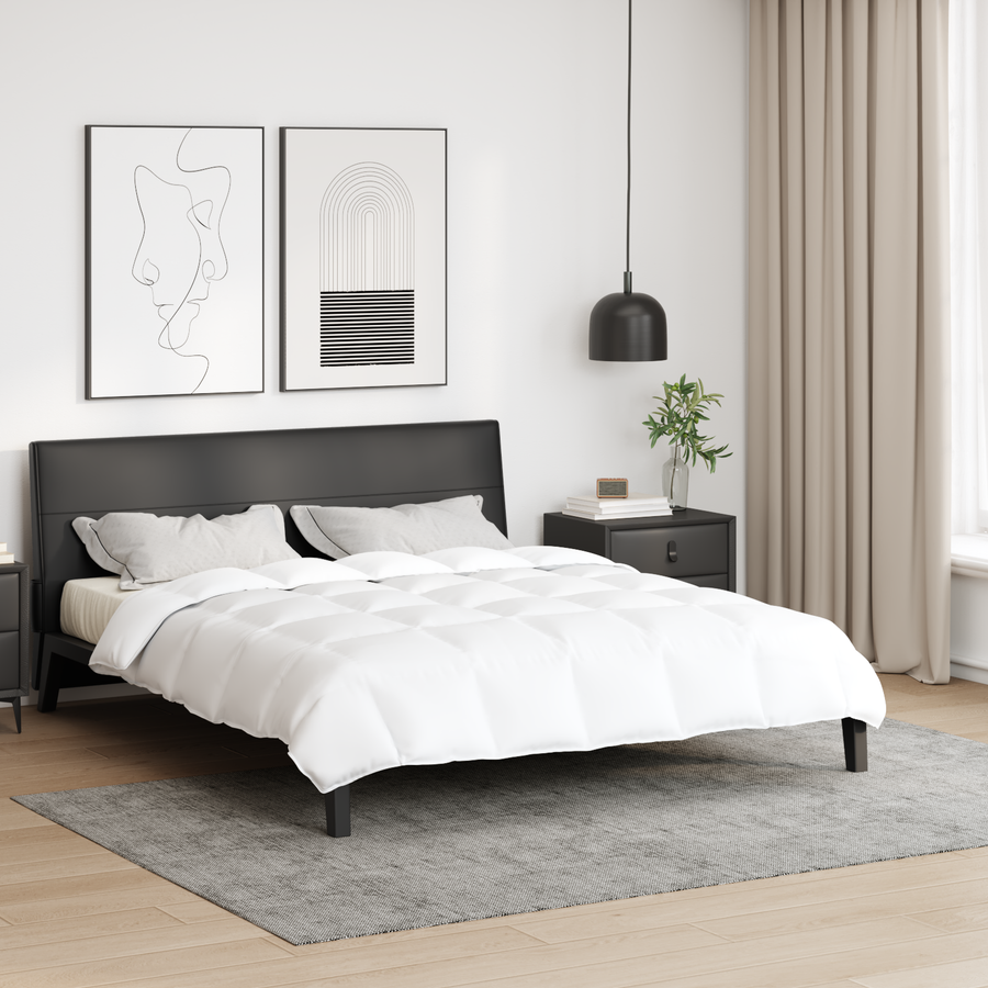 Dekens & Dekbedden Wit 260 x 220 cm Dons