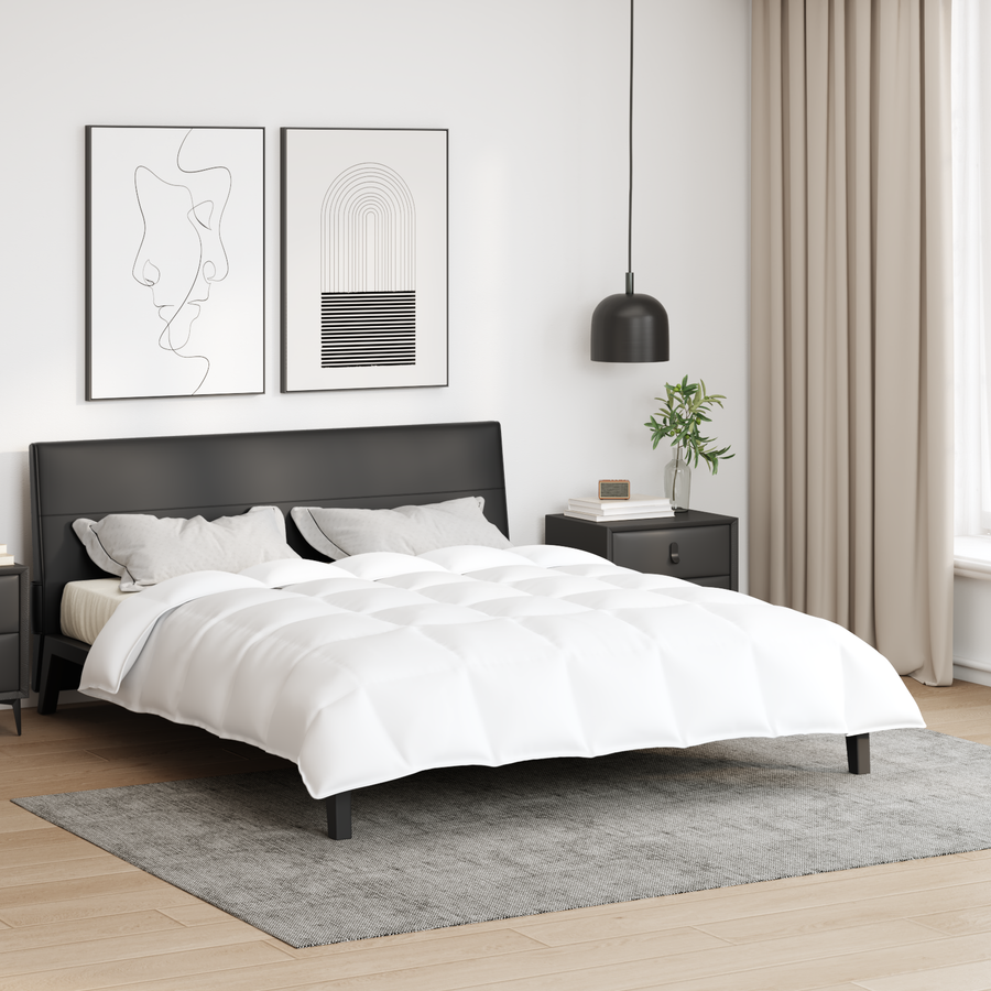 Dekens & Duvets Wit 240 x 220 cm Dons