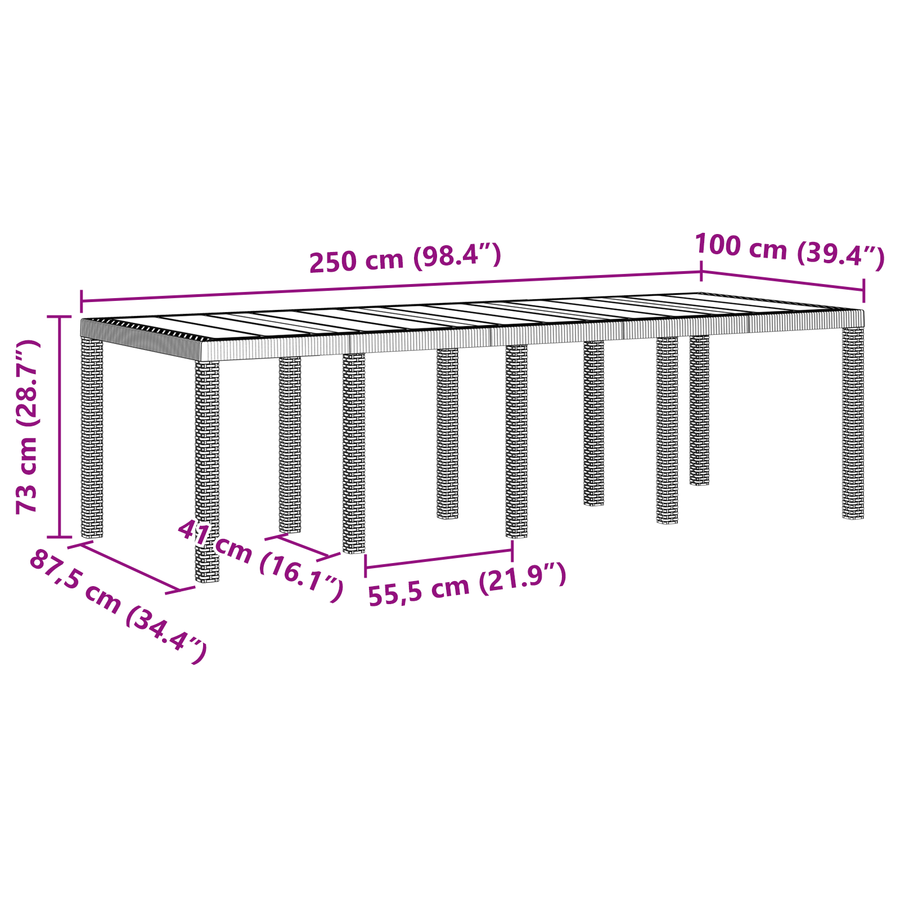 Tuintafel 250x100x73 cm poly rattan antraciet