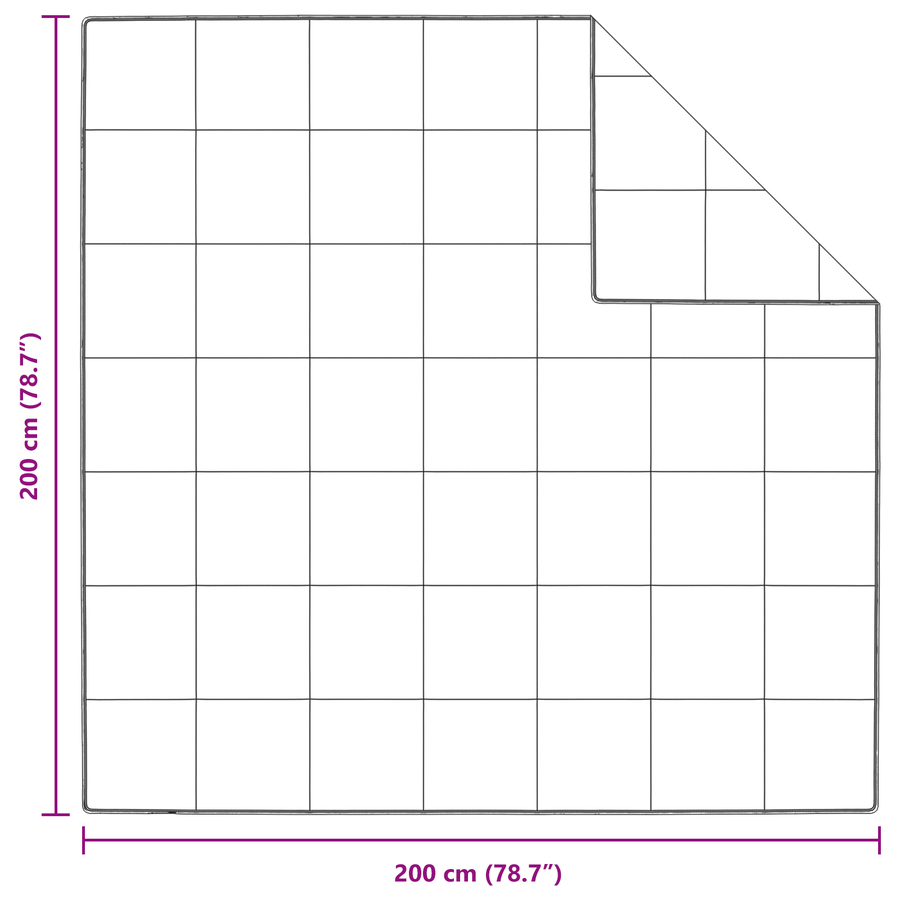 Dekens & Duvets Wit 200 x 200 cm Dons
