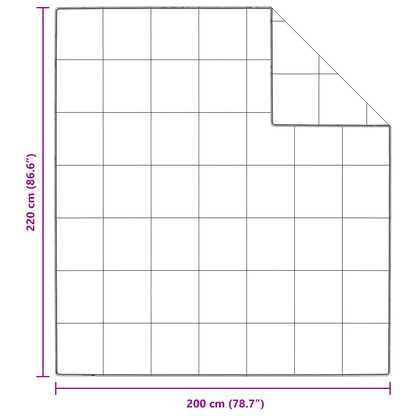 Dekens & Duvets Wit 200 x 220 cm Dons