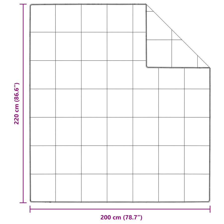 Dekens & Duvets Wit 200 x 220 cm Dons