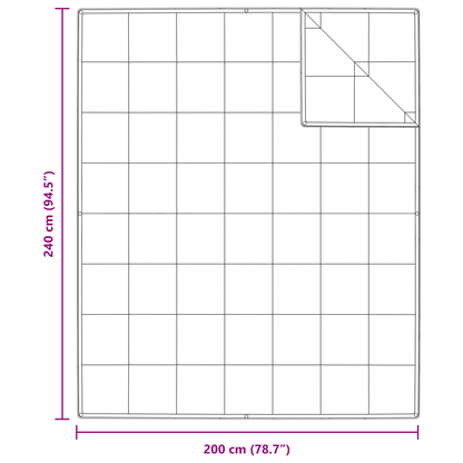 Dekens & Donsdekens Wit 240 x 200 cm Dons
