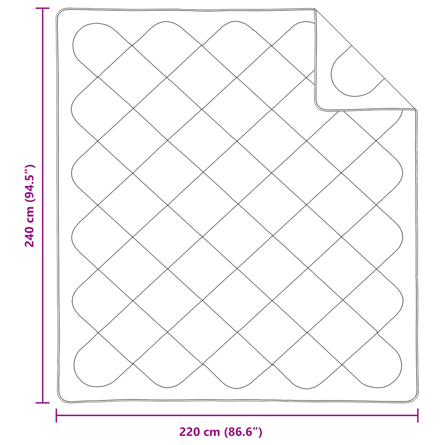 Dekens & Duvets Wit 240 x 220 cm Microvezel