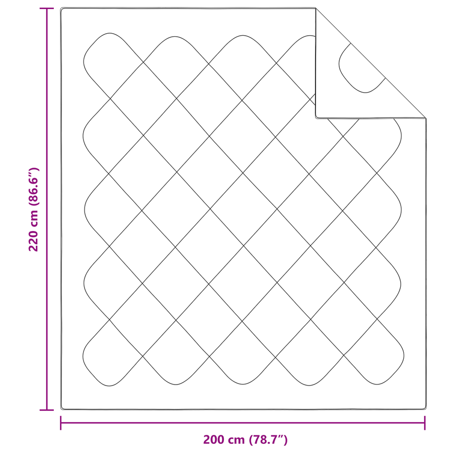 Dekens & Duvets Wit 200 x 220 cm Microvezel