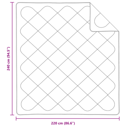 Dekens & Duvets Wit 240 x 220 cm Microvezel