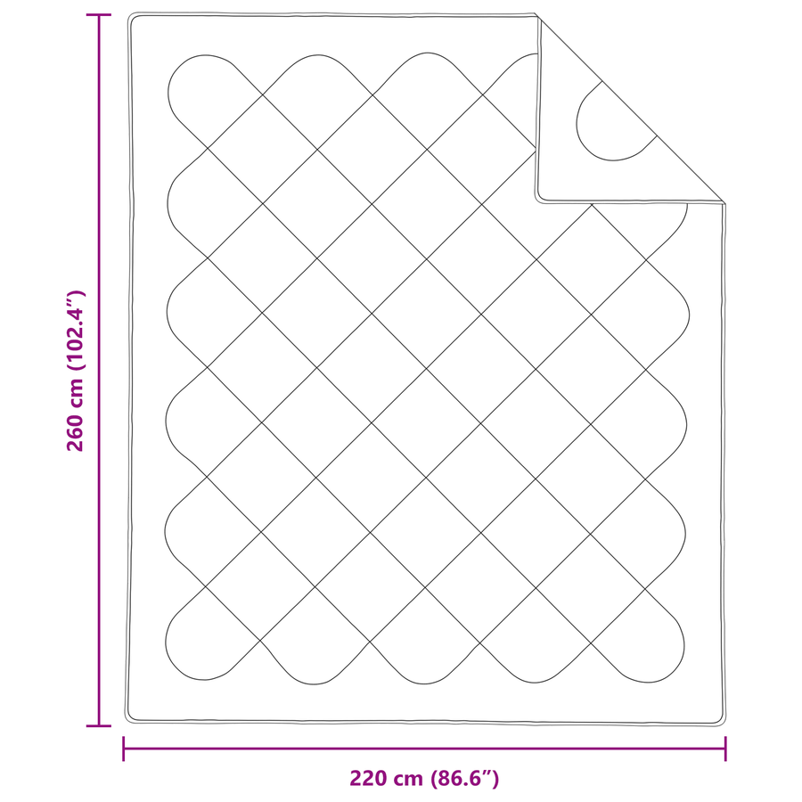 Dekens & Duvets Wit 260 x 220 cm Microvezel