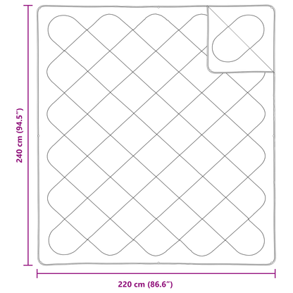 Dekens & Duvets Wit 240 x 220 cm Microvezel