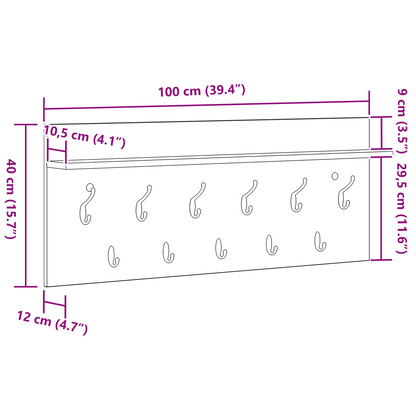 Wandgemonteerde kapstok met plank Grijs sonoma 100 x 40 x 12 cm