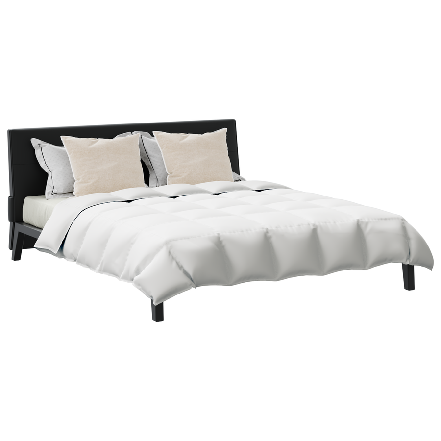 Dekbed met kussen 3 pcs Wit 240 x 200 cm Dons