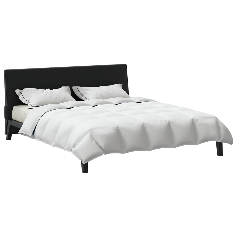 Dekens & Duvets Wit 200 x 200 cm Dons