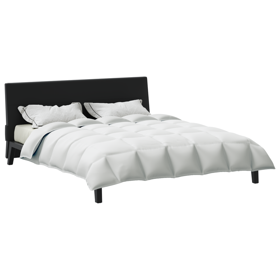 Dekens & Duvets Wit 260 x 220 cm Dons