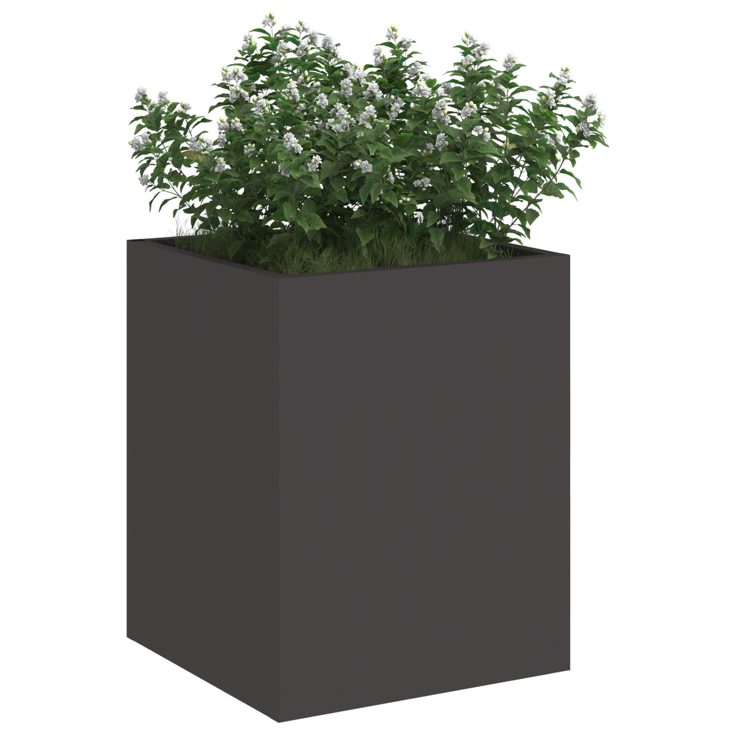 Tuin Bloempot Zwart 32 x 32 x 40 cm Koudgewalst staal
