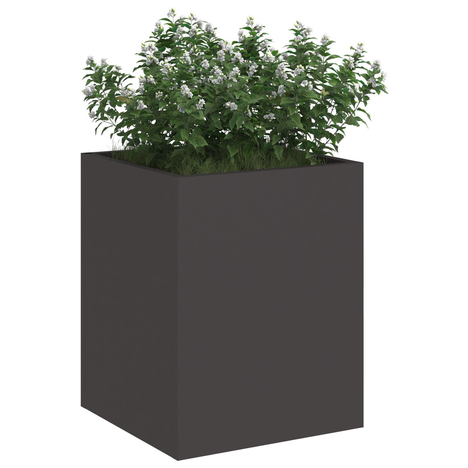 Tuin Bloempot Zwart 32 x 32 x 40 cm Koudgewalst staal