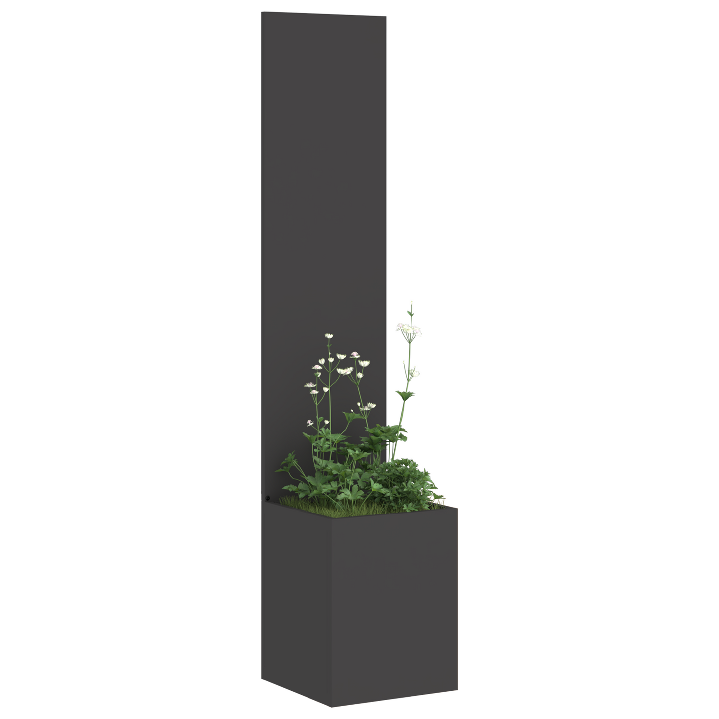 Tuinplant met Decoratief Paneel Zwart 32 x 140 cm