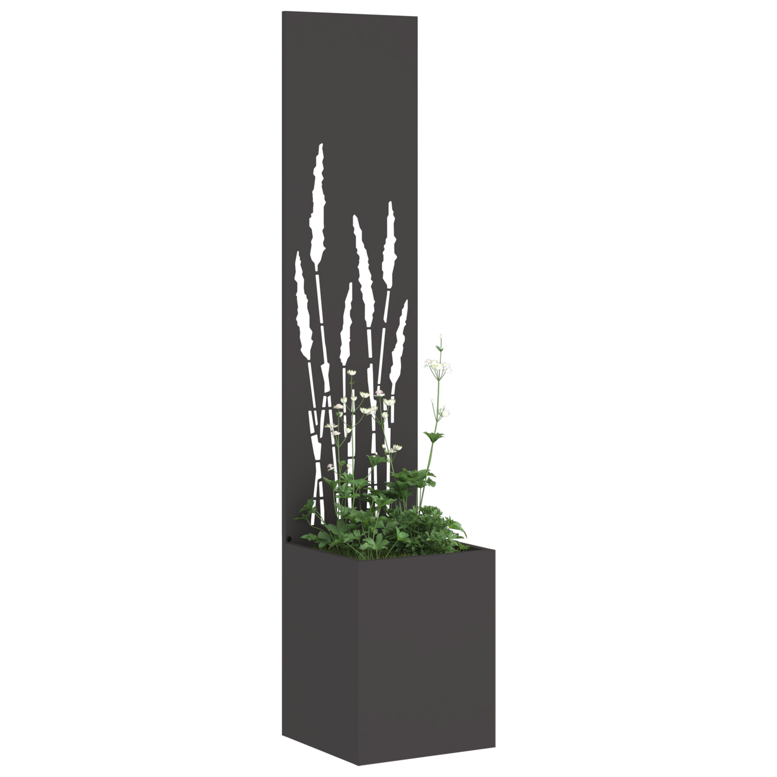 Tuinplant met Decoratief Paneel Zwart 32 x 140 cm