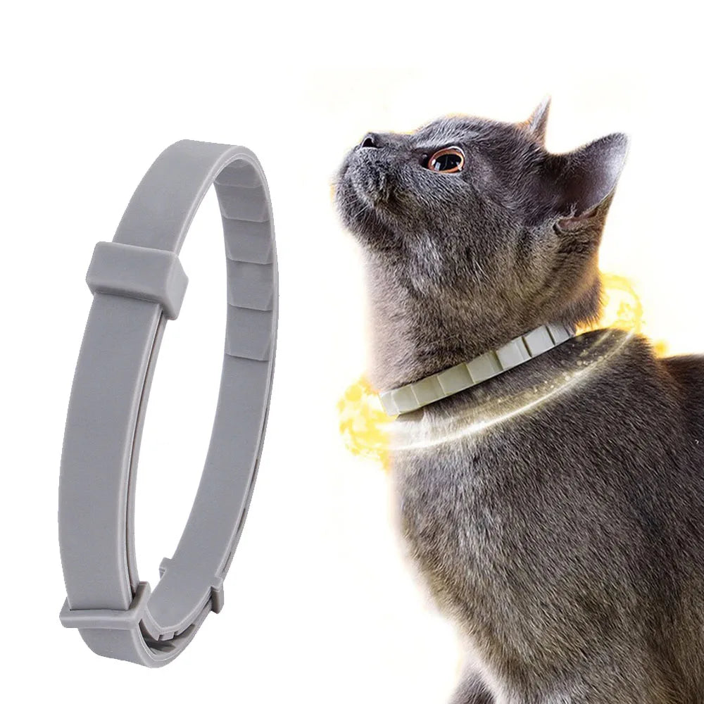 Hond en kat halsband verstelbaar 38-70 cm waterdicht