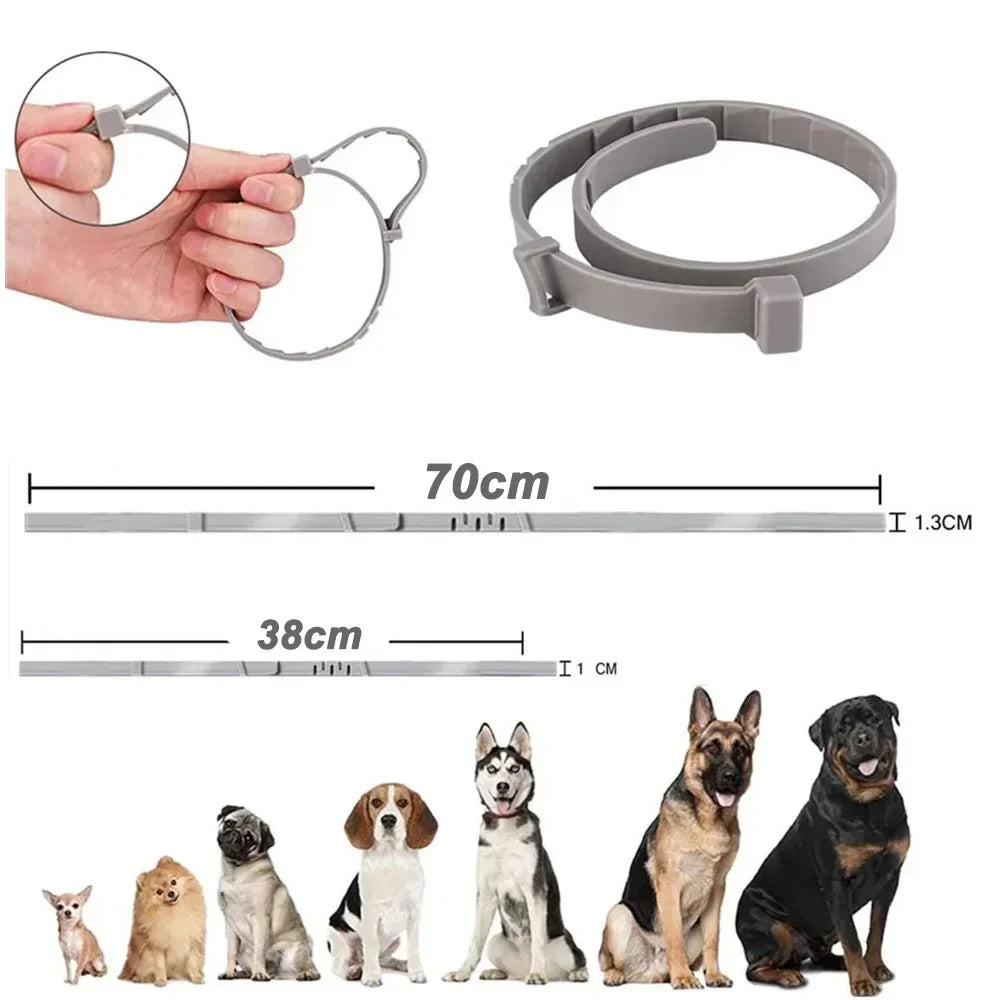 Hond en kat halsband verstelbaar 38-70 cm waterdicht