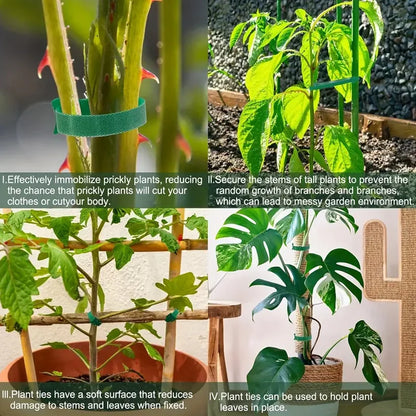 Klittenband Binders voor Planten en Tuin, 100 Stuks