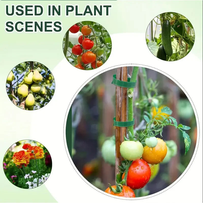 Klittenband Binders voor Planten en Tuin, 100 Stuks