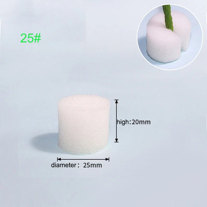 Hydroponische Kweekset met Mesh Potten en Sponzen (50 stuks)