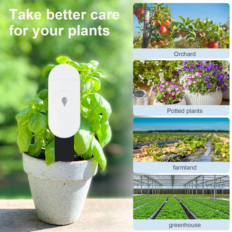 Tuya Zigbee Soil Moisture, Temperature, and Humidity Sensor