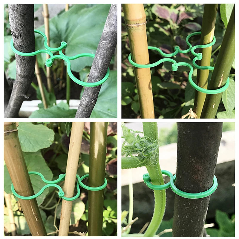 Plantenclips kunststof verstelbaar