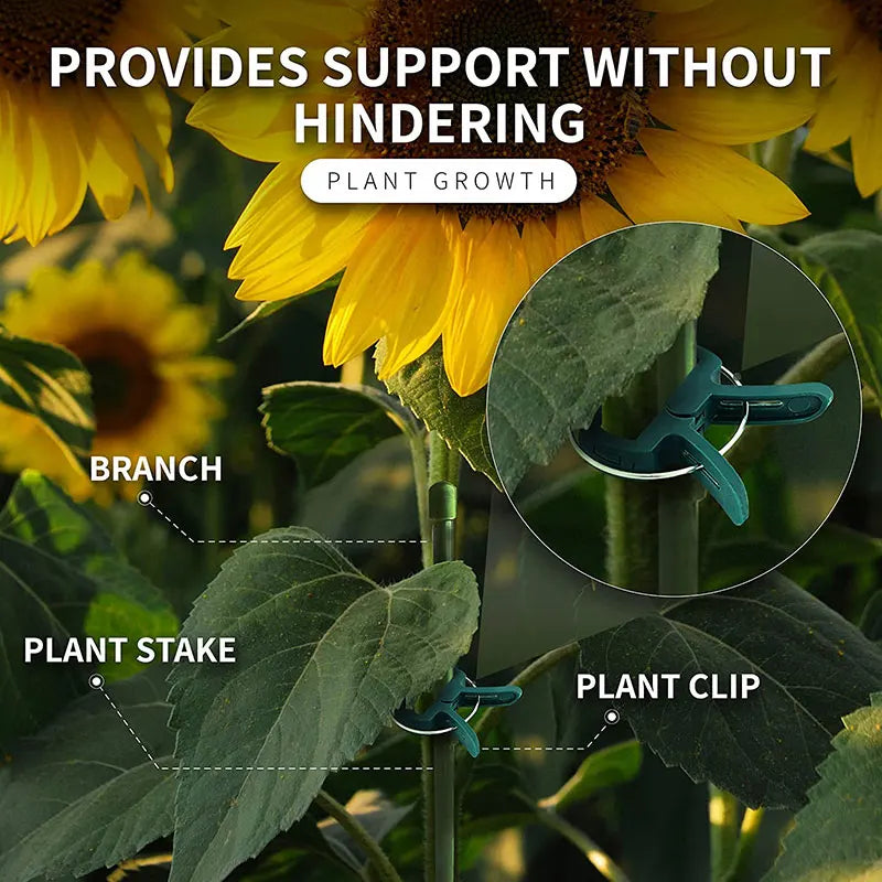 Plantenclips kliksluiting plastic