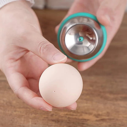 Eierpiercer van roestvrij staal