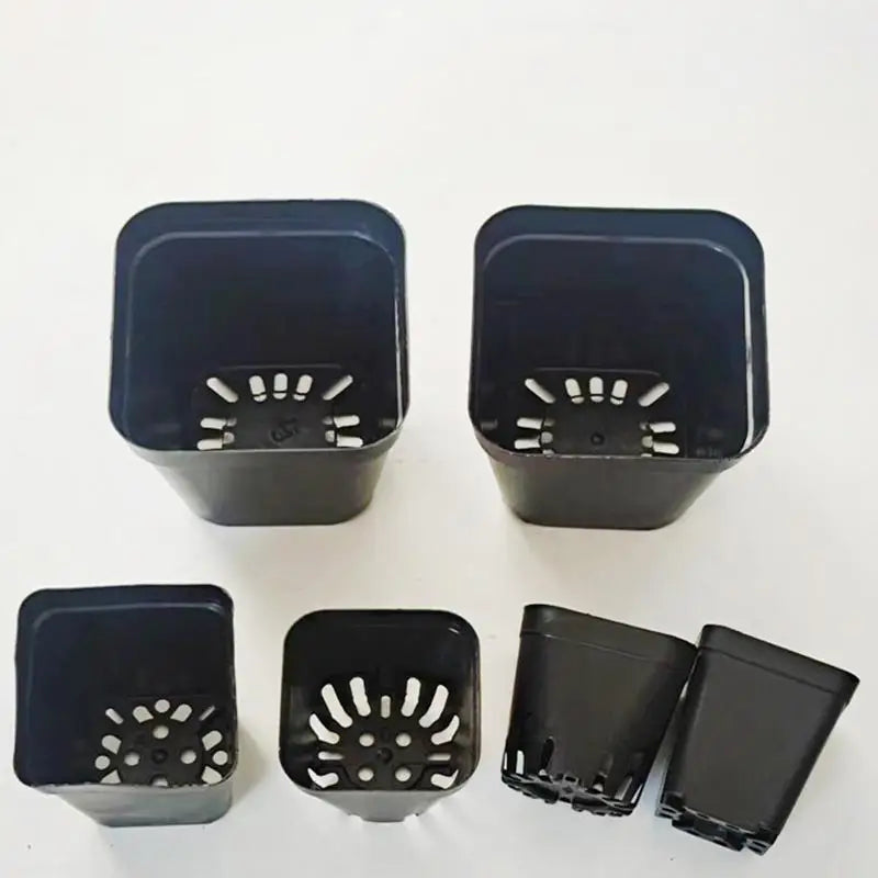 Zaailingpotten Vierkant 50 Stuks